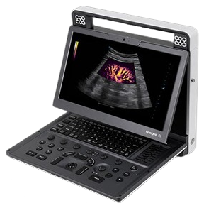 Apogee C1 Portable